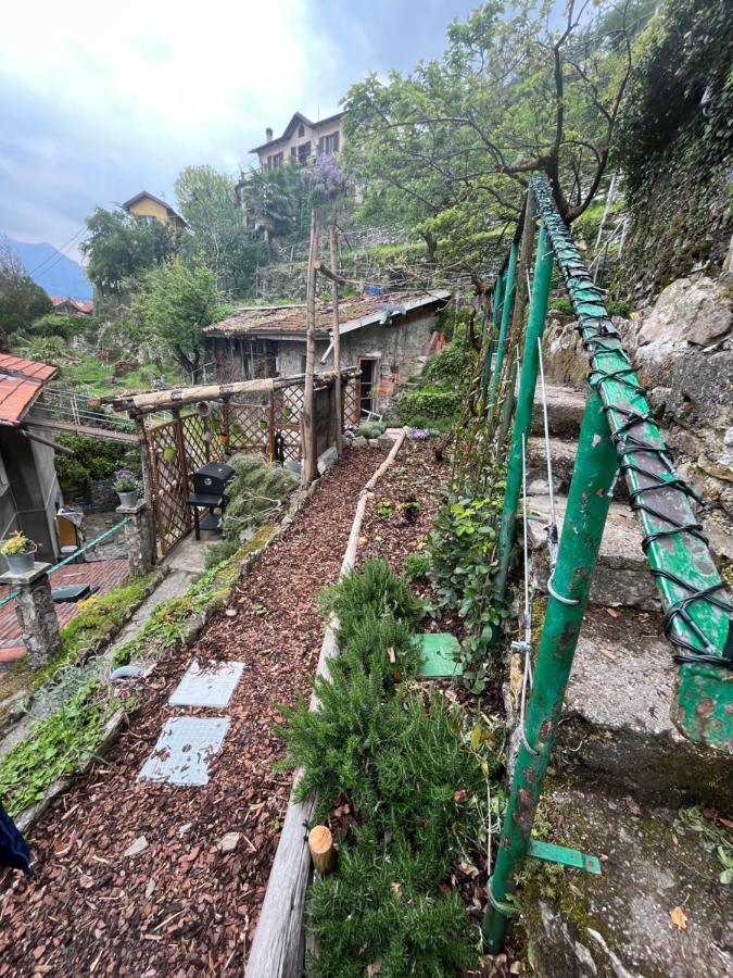 Villa Como, Jacuzzi Spa And Private Pool Блевио Экстерьер фото